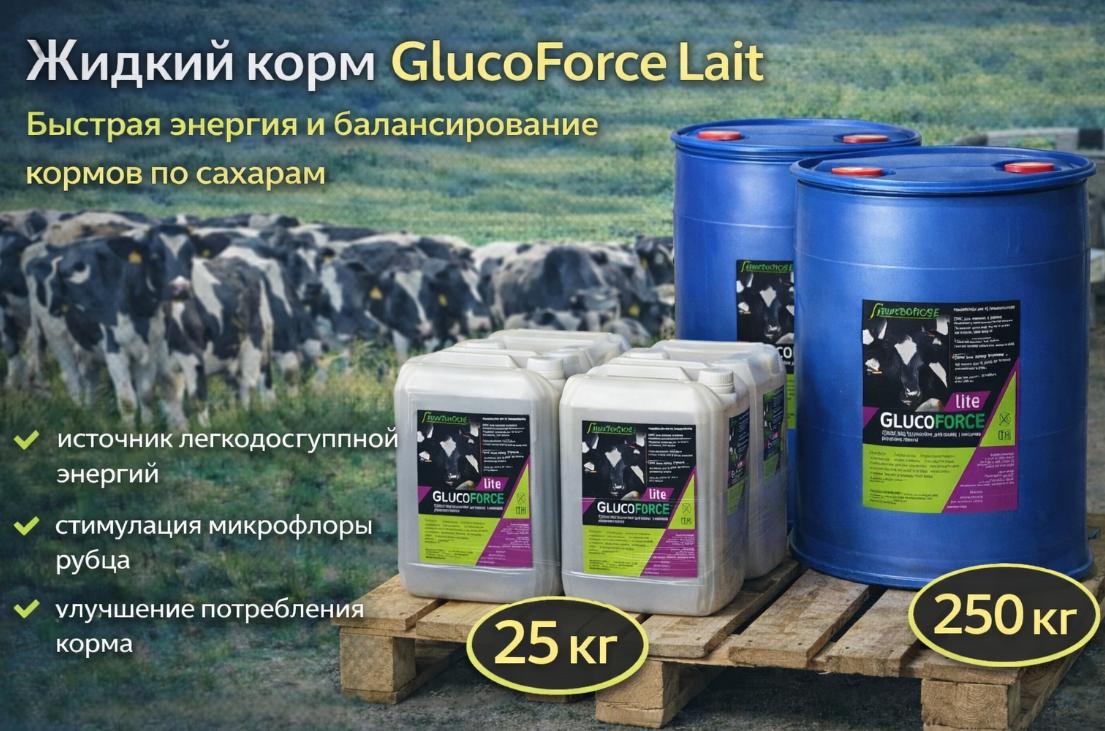 GlucoForce Lite: энергия без кетоза для коров после отёла